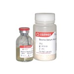 Canvax Bovine Serum Albumin (BSA) SUB001