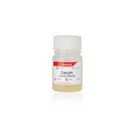 Canvax Mouse Serum SUM001