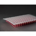 Heat Seal Film ClearASeal Pierce for Abi 3730 Sterile 125mm x 78mm 100pk Sheets IST Scientific IST-103-078SS