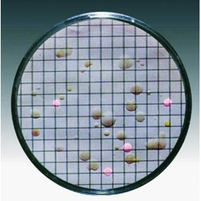 Sartorius Lab Nutrient pad 47 mm, 0,45 µm, 14049--47------N