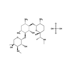 Canvax Gentamicin Sulfate AB011