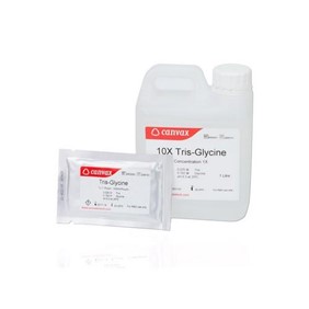 Canvax Tris-Glycine SDS Buffer (pH 8.3) BR0053