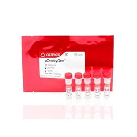 Canvax pOnebyOne™ II - Lentiviral Bicistronic Mammalian Expression Kit ME0018