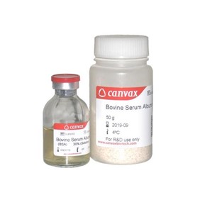 Canvax Bovine Serum Albumin (BSA) SUB001