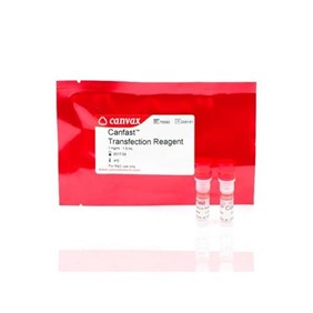 Canvax CANFAST™ Transfection Reagent T0083