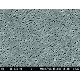 GE Healthcare NL17 Membrane Circles Polyamide 0.45µm 10414112
